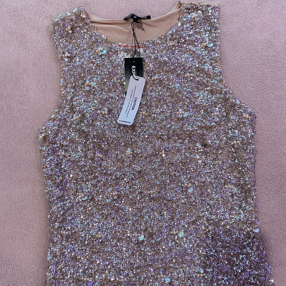 Sparkly dressy express top. Brand new never worn. Not itchy.